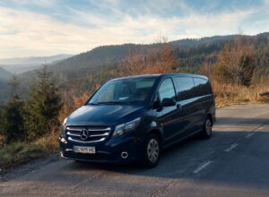 Мінівени та мікроавтобусы Mercedes Vito Sprinter